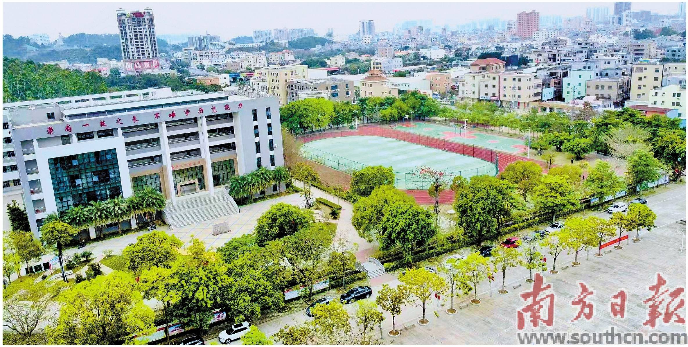 春风十里 共植绿美_陆丰市_建设_活动