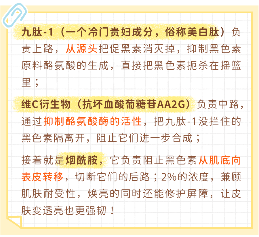 百搭提气色,上班遛娃都需要_成分表_法国_产品