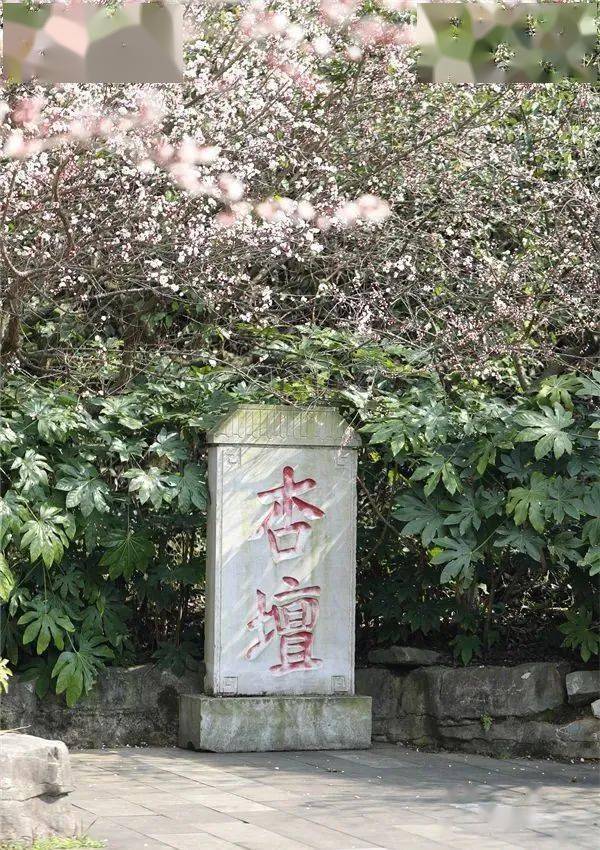 爽爽贵阳繁花似锦来孔学堂上春山踏遍春光不思还