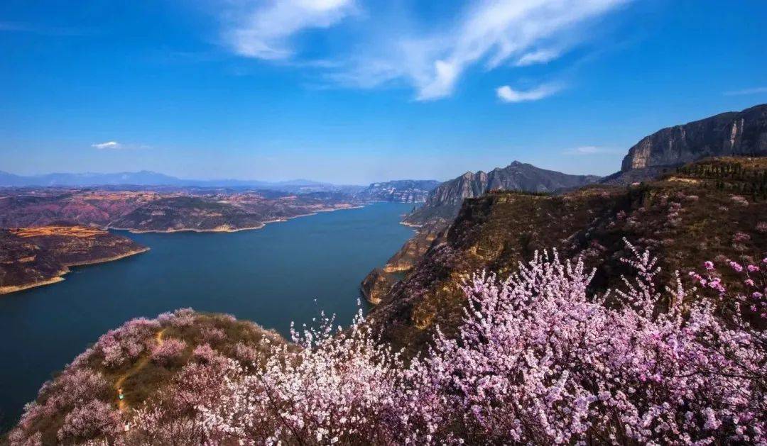 上春山丨赏花正当时(一)_新安_黛眉山_千唐志斋