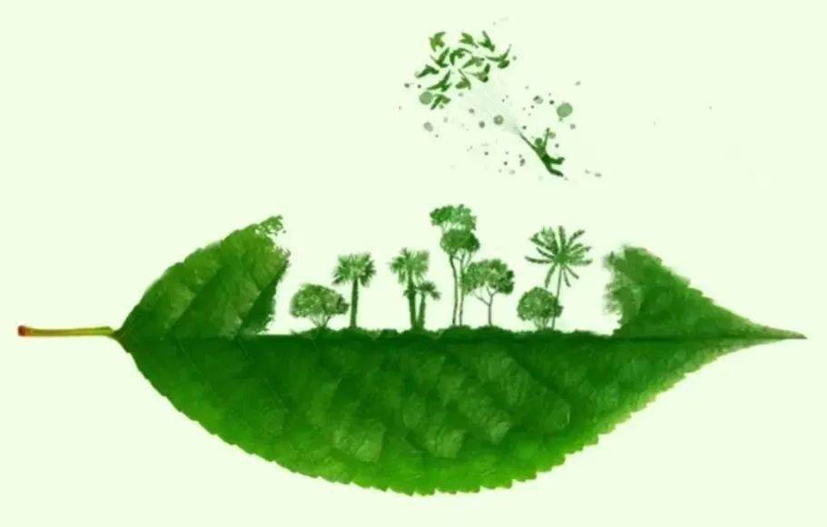 植此青绿拥抱春天