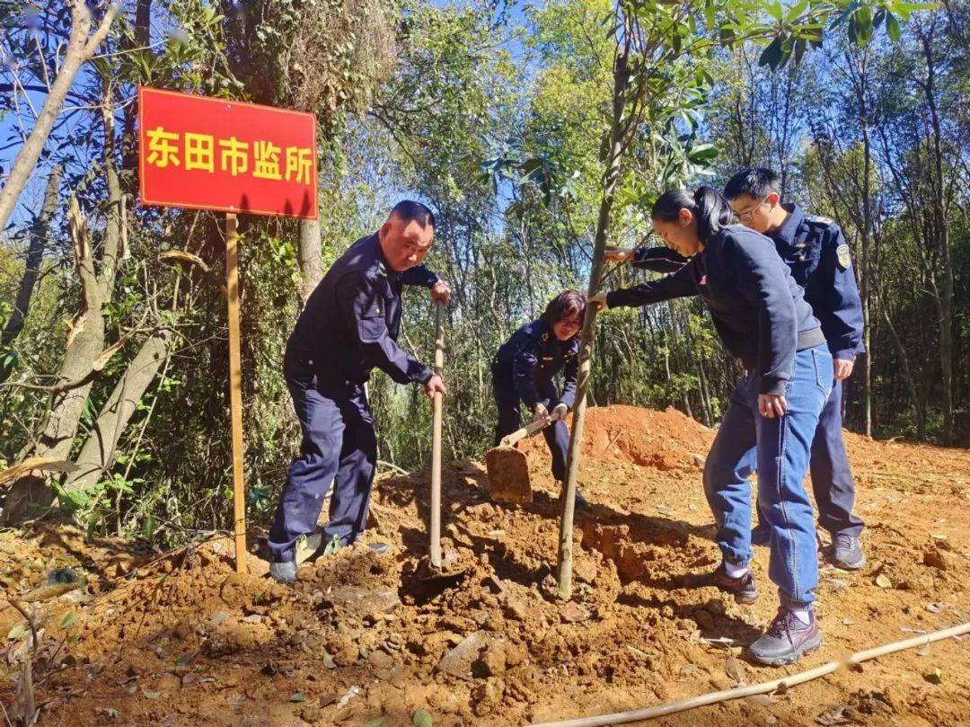 植树造林添新绿东田镇开展义务植树活动