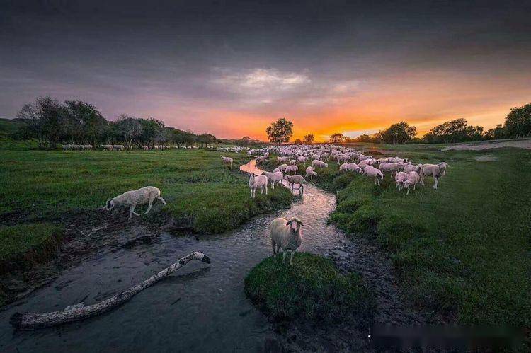 去程:北京>坝上乌兰布统喆啡酒店(空调大巴)750_499