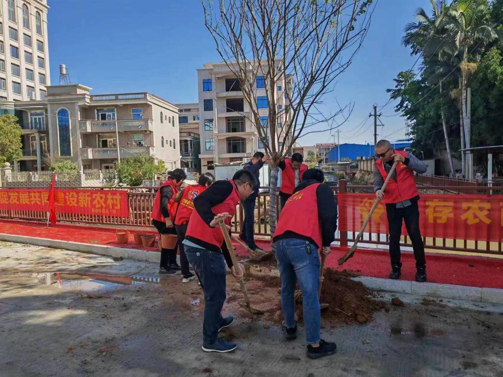 植此青绿不负春光石井镇开展植树造林活动