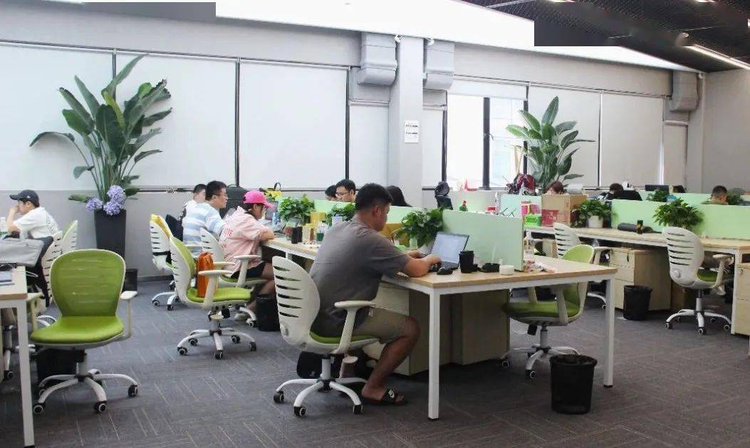 优化营商环境丨人勤春来早杨浦营商环境暖意融融