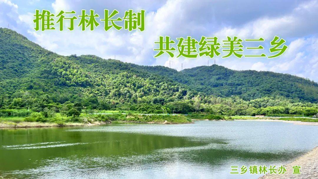 素材来源:中山发布编 审:艾立强责 编:王琼 邓菲编 辑:杨韶艳 袁旺美