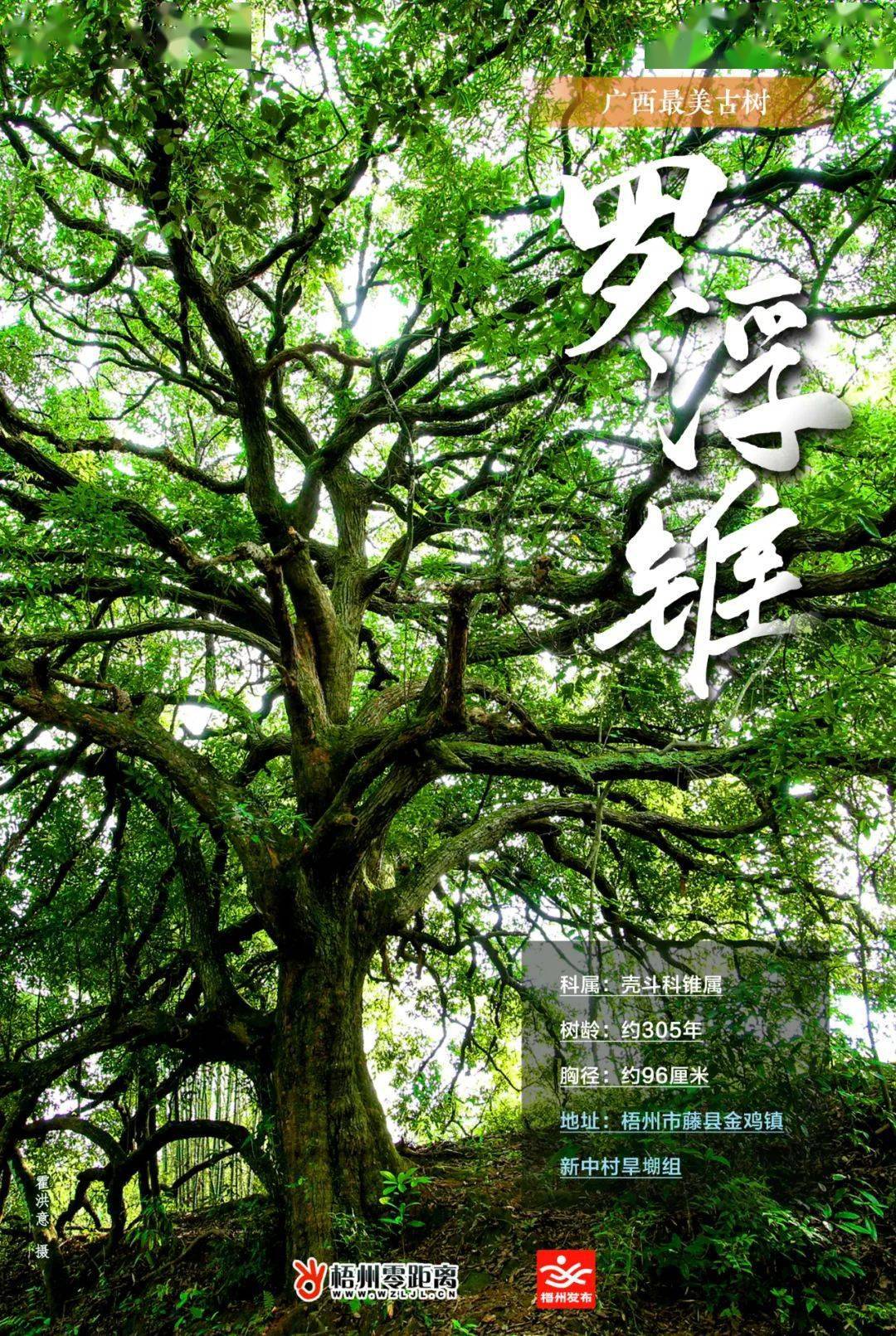 wzljl.cn文字:邓超妍 通讯员 聂宇昕设计:石渝编辑:黄东莹编审:黄祎婧