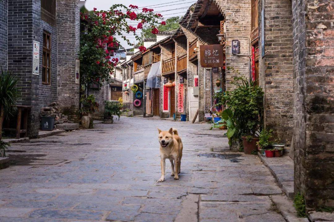 鹅翎寺,丰鱼岩,荔江湾,银子岩,天河瀑布,鹿寨香桥岩溶国家地质公园