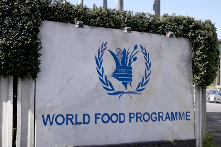 联合国世界粮食计划署:海地"濒临毁灭性的饥饿危机"_人道主义_声明