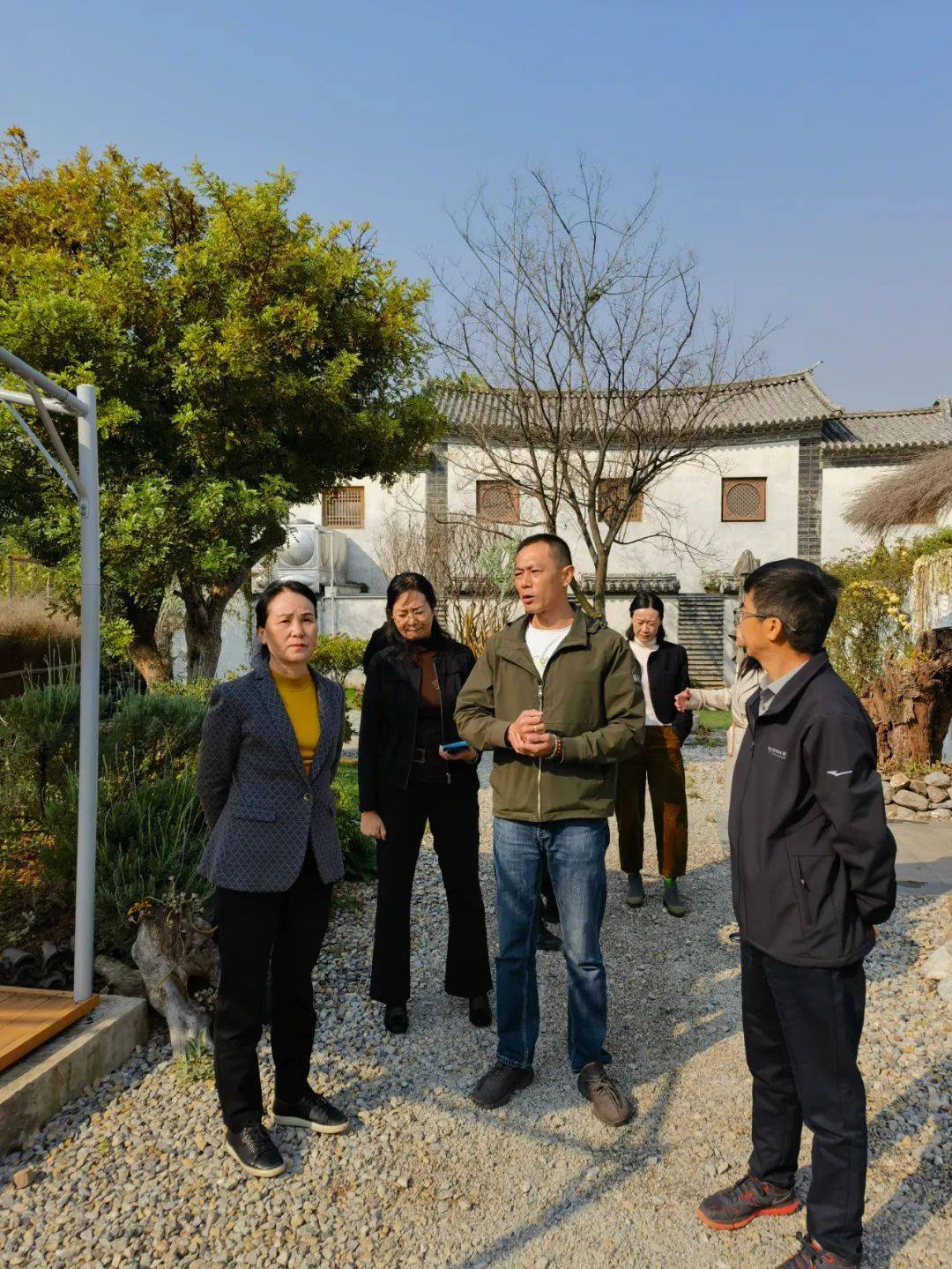 张剑萍到巍山县调研民宿管理工作情况