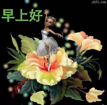 朋友群送的新版早上好问候语表情包2024最美早安问候语短信大全