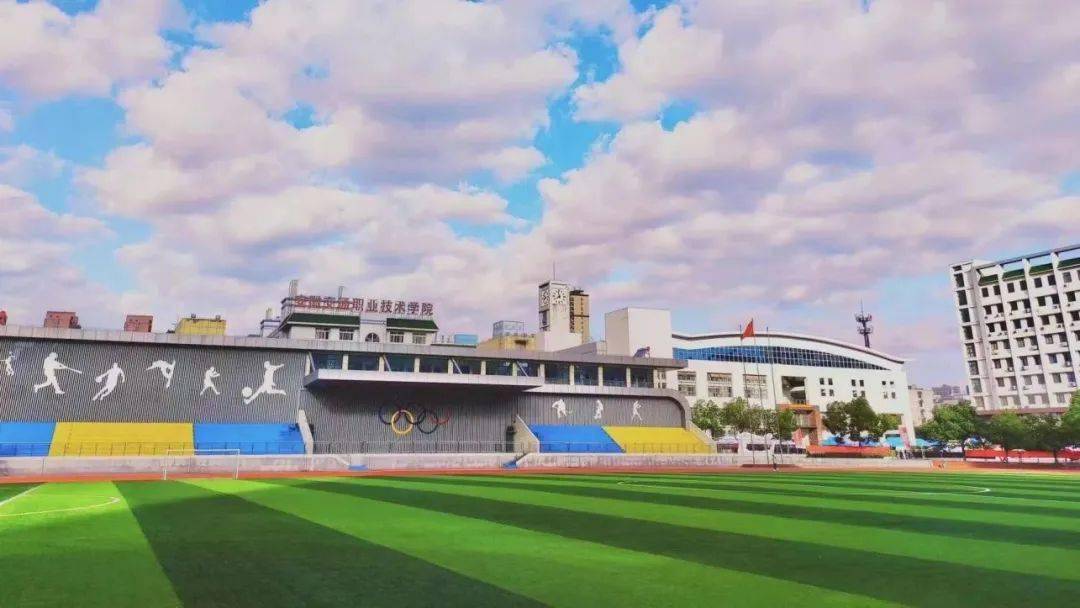 安徽交院丨环境好美无限分类就报安徽交院