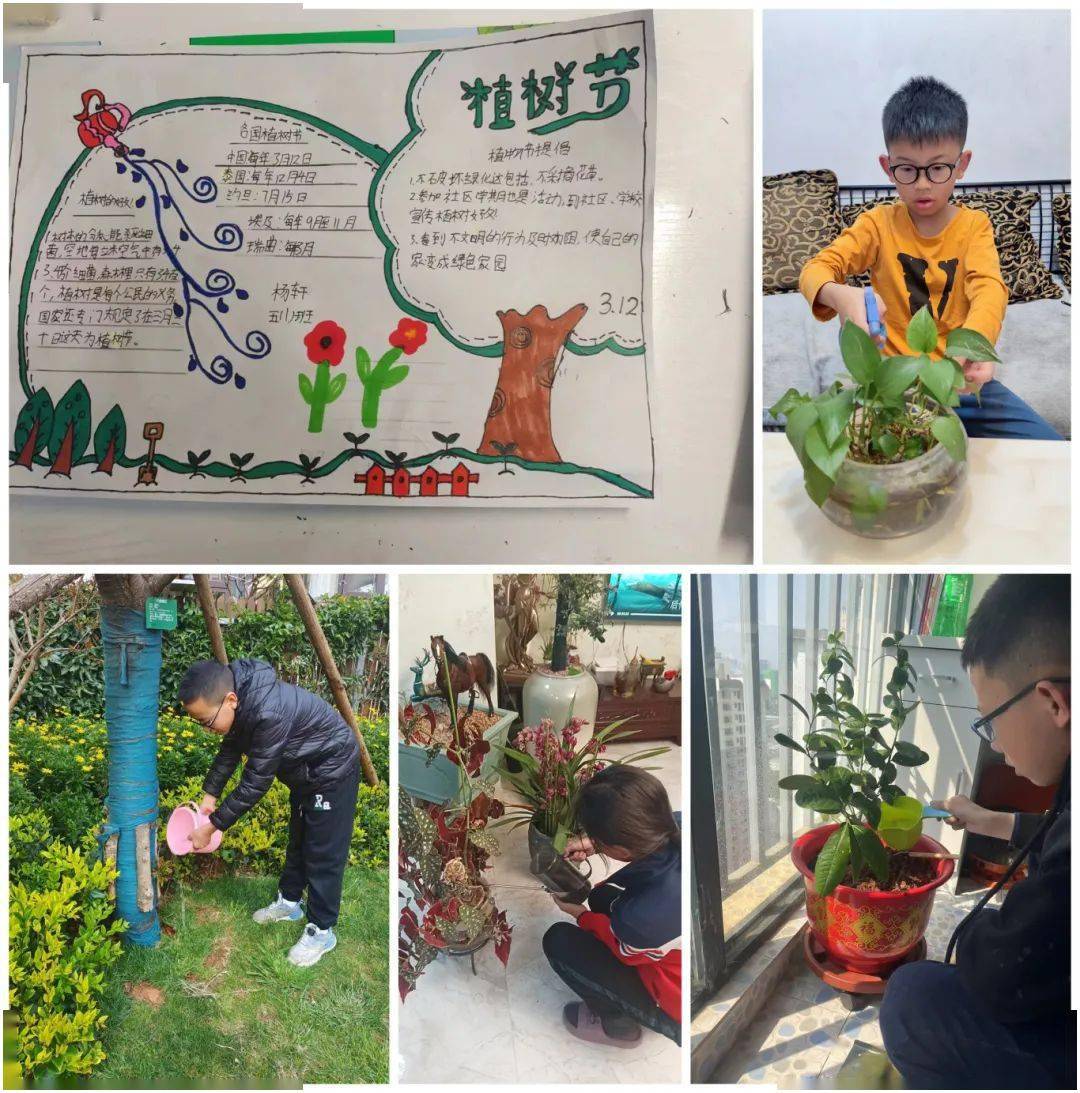 播种绿色爱护家园拓东二小2024年植树节爱绿护绿主题系列活动