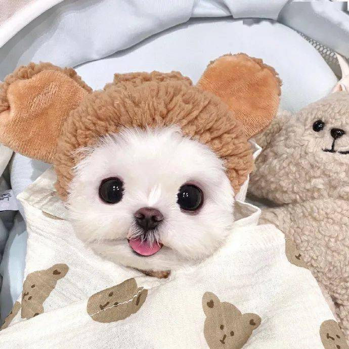 头像丨超有趣的头像676767