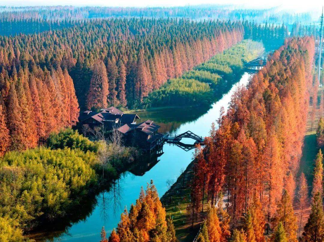 短剧 文旅,《我是猎手》背后的流量密码_旅游_东台_景区