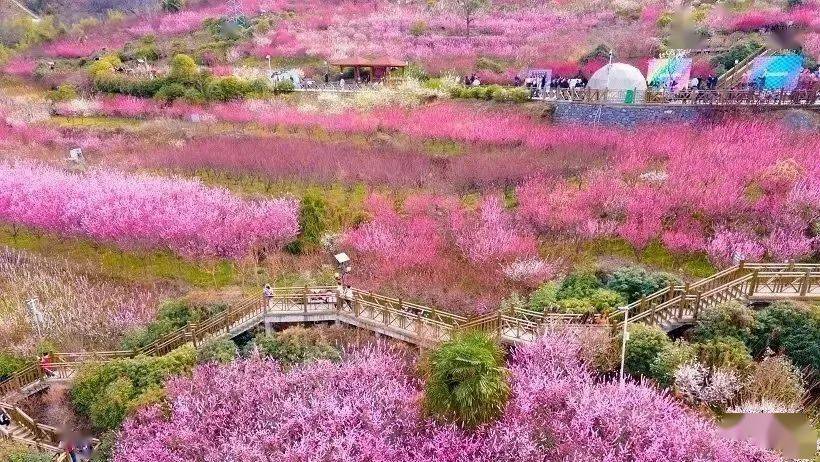 安康汉阴桃花谷地址图片