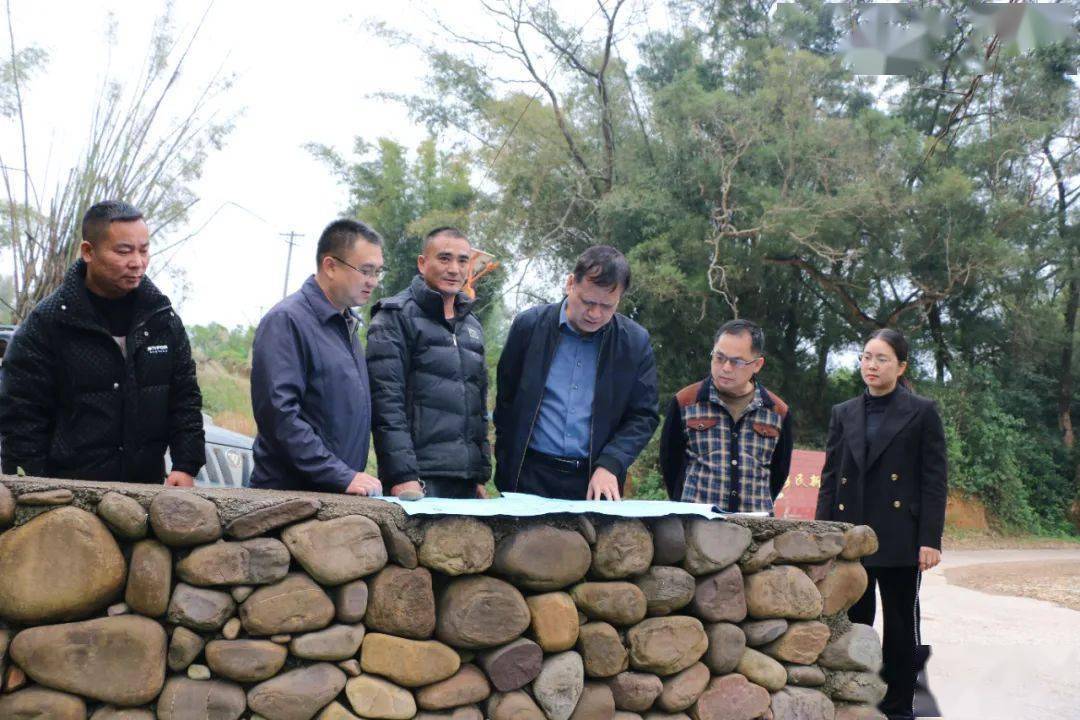 吴孝斌到大乐镇调研乡村振兴工作