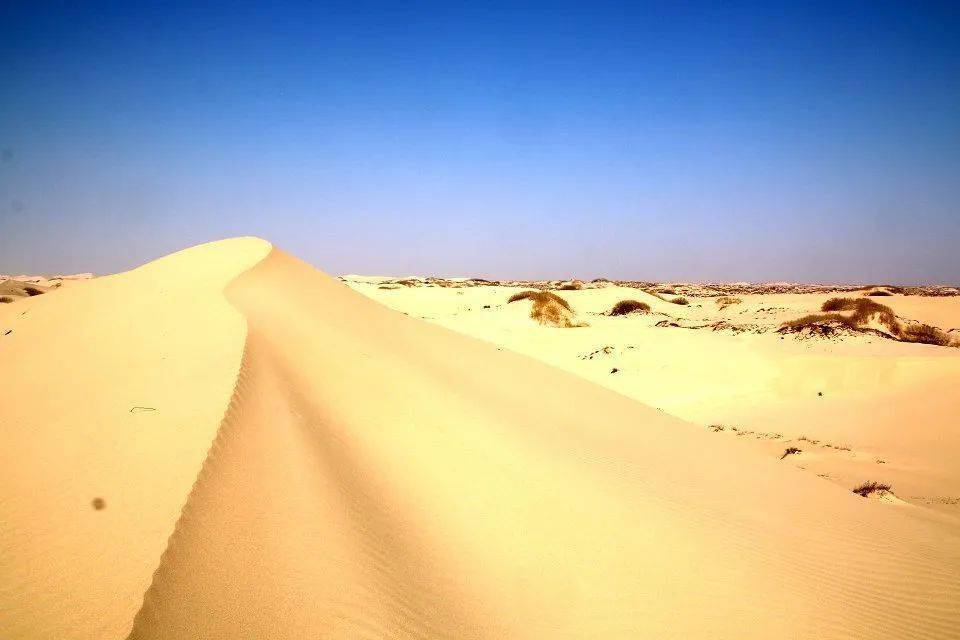 4月5-6日 沙漠 (寻迹电影《沙丘》) 还有15个名额_活动_库伦扎萨克达