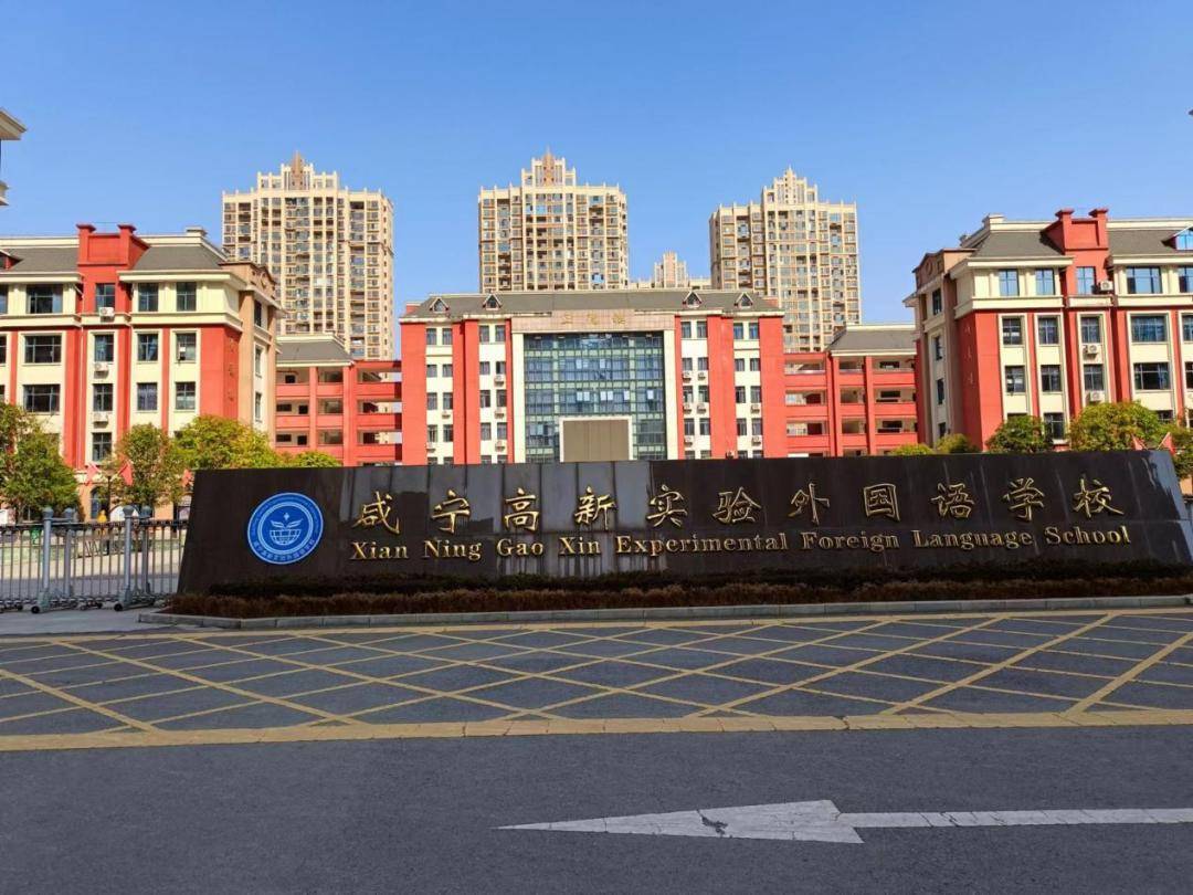 上海东方外国语学校图片