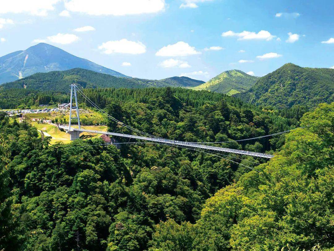 带上相机来日本体验一场惊艳的视觉之旅