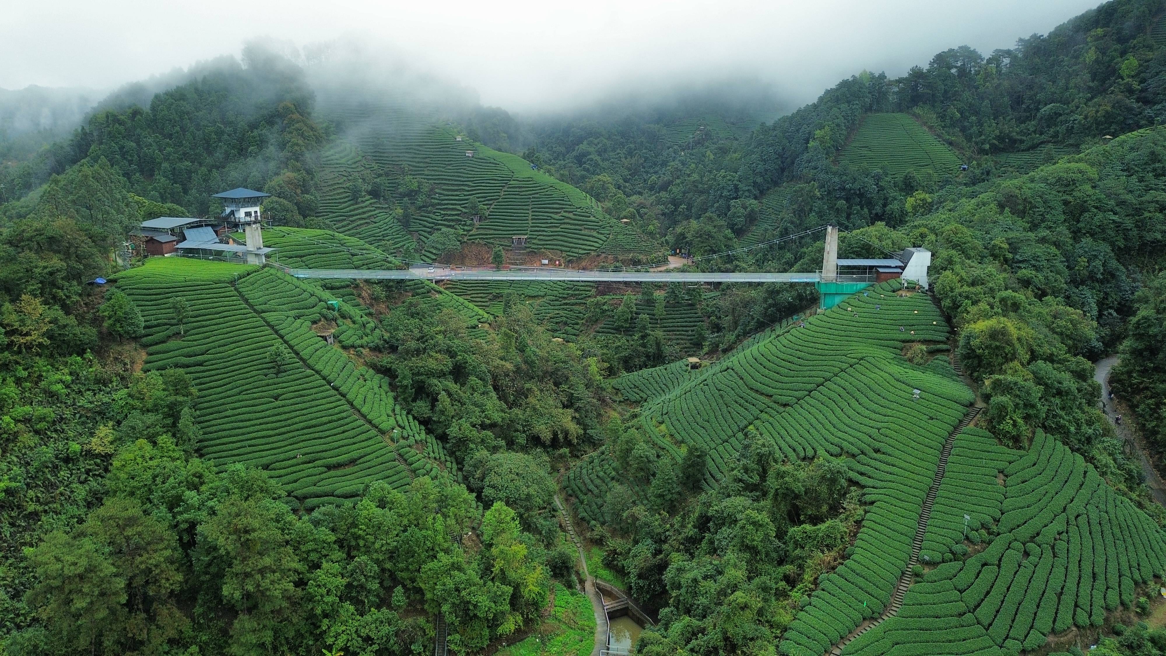 "引客入昭"首乘团抵达昭平_昭平县_帮扶_游客