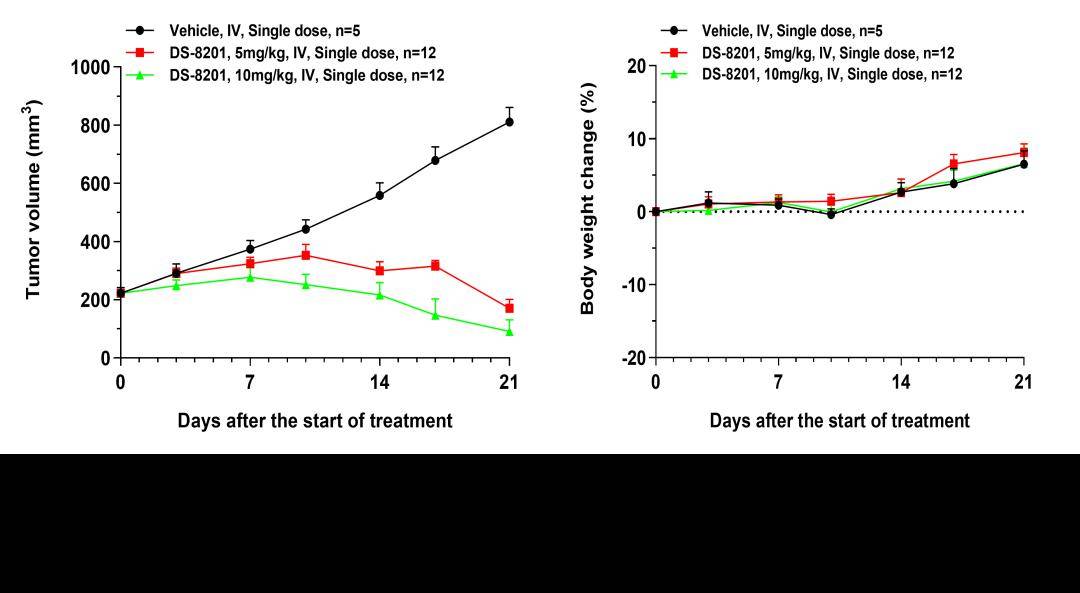 抗体偶联药物(adc)临床前pkpd研究策略与实践_载荷_模型_肿瘤