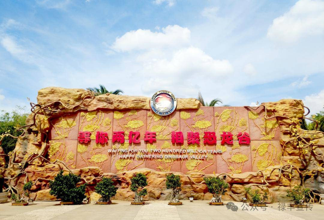其中楚雄州有云南世界恐龙谷旅游股份有限公司,楚雄伟光汇通文旅商业