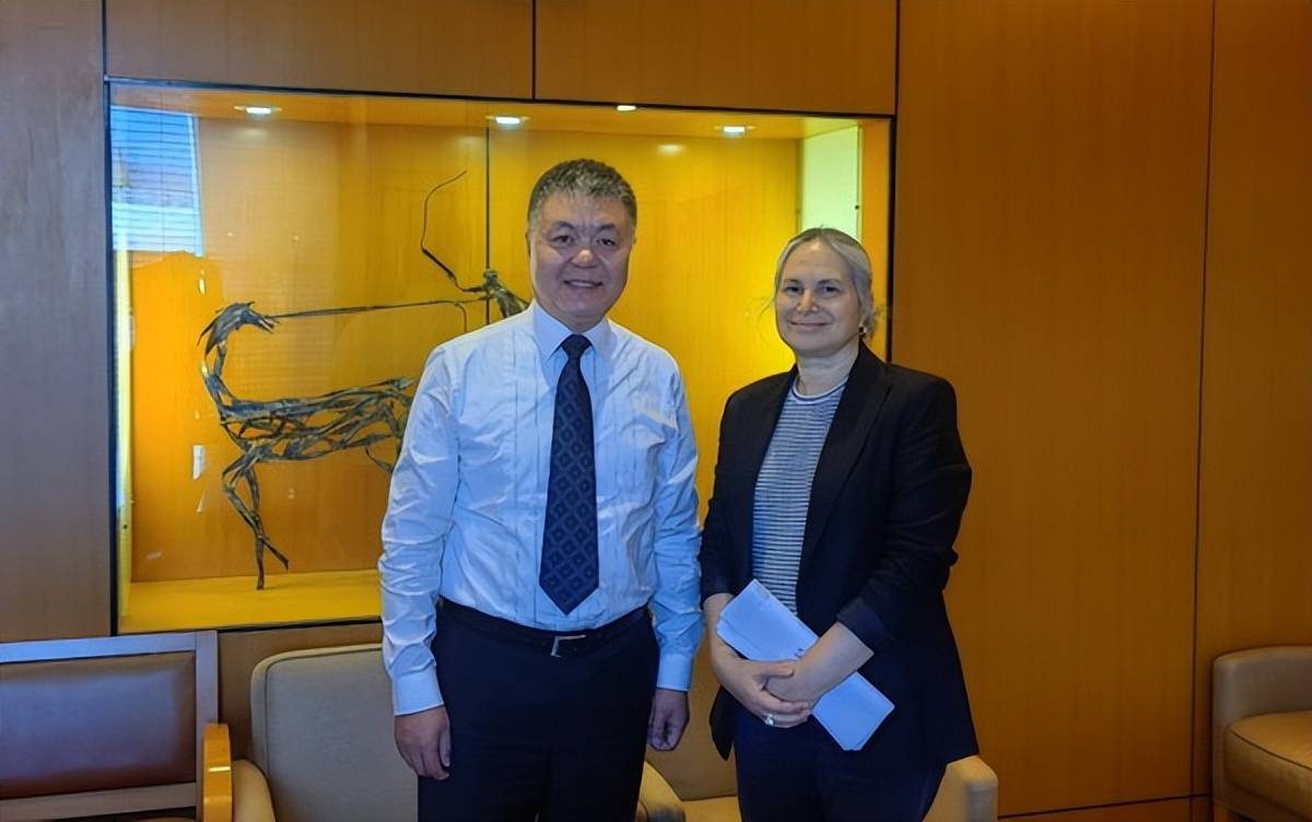 外交部大使王克俭访问以色列_加沙_冲突_以方