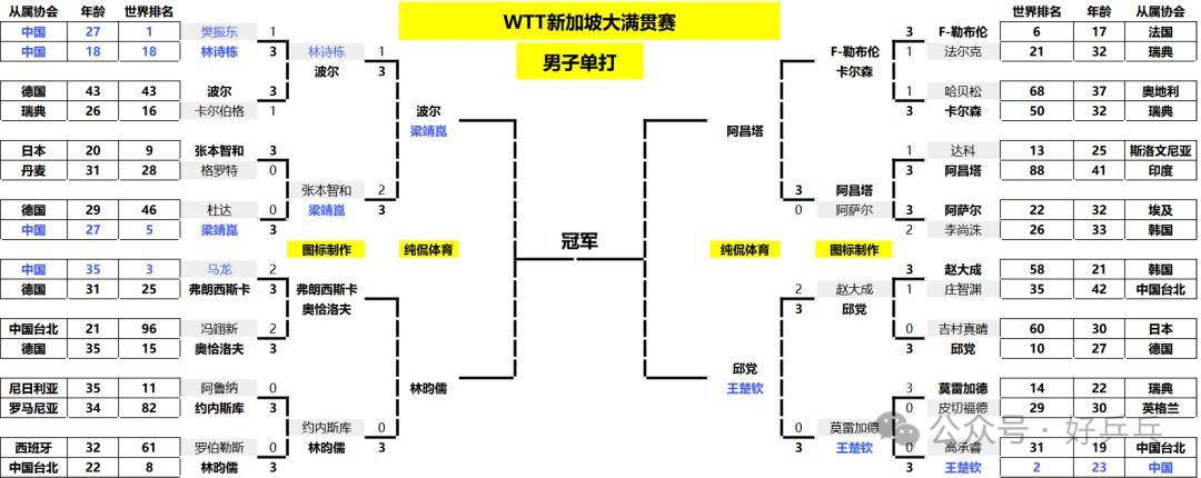 林詩棟戰勝樊振東後輸外戰,國乒小將難堪大任_波爾_乒乓球_王曼昱