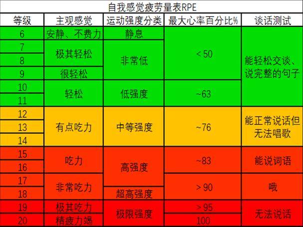 brunel平衡量表图片