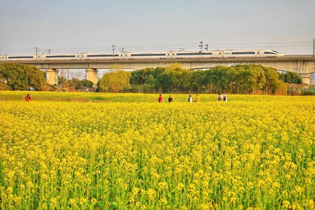 山西一级建造师成绩查询_山西二级建造师成绩查询_山西省建造师注册信息查询