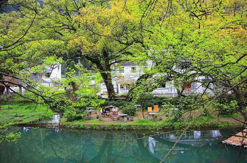 春游江南远离喧嚣的晓起