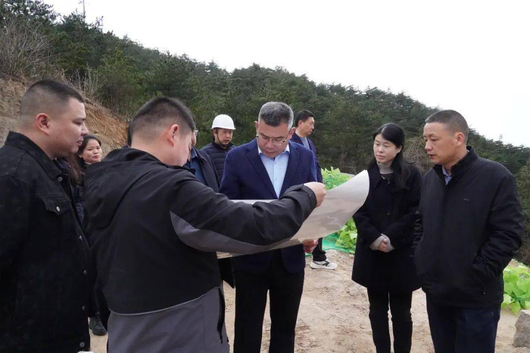 王国林督导调研重点文旅投资项目_潜山_天柱山_精心策划