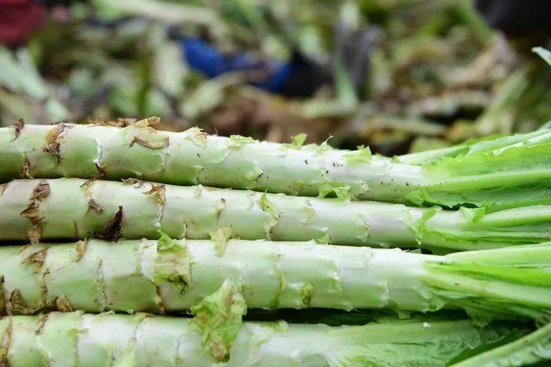 好奇丨火锅里咬起来嘎嘣脆的贡菜到底是不是晒干的莴笋