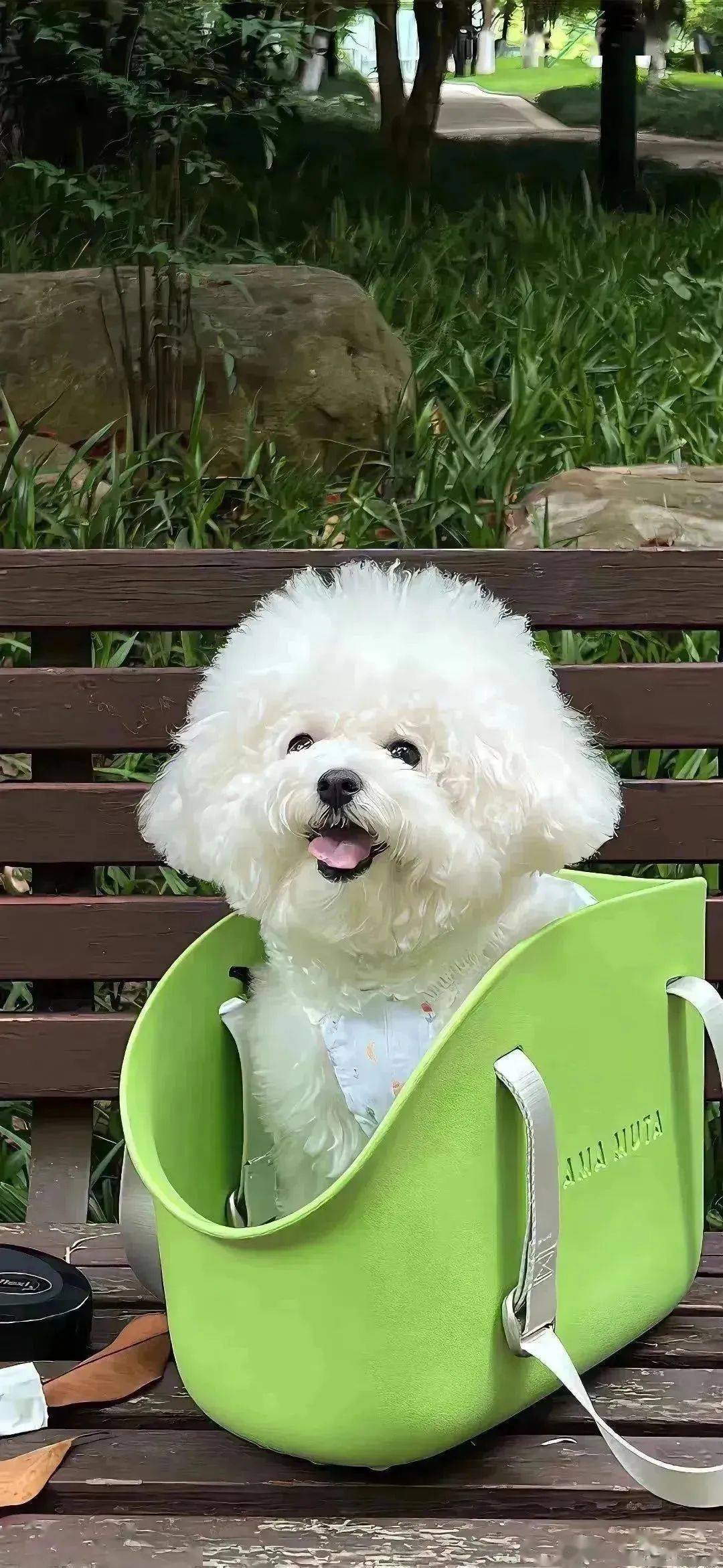 超爱的ins高级感壁纸来啦