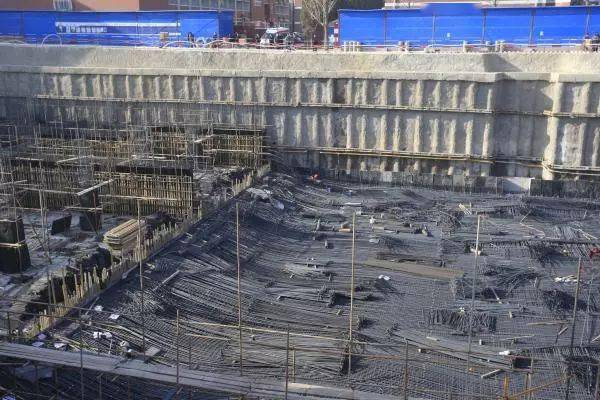 谨慎喝茶女建造师人证合一栽了