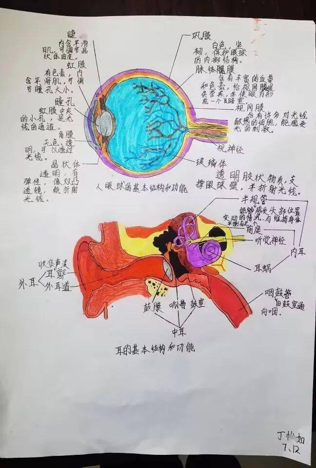 这些作业太精彩了!_特色_数学_年级