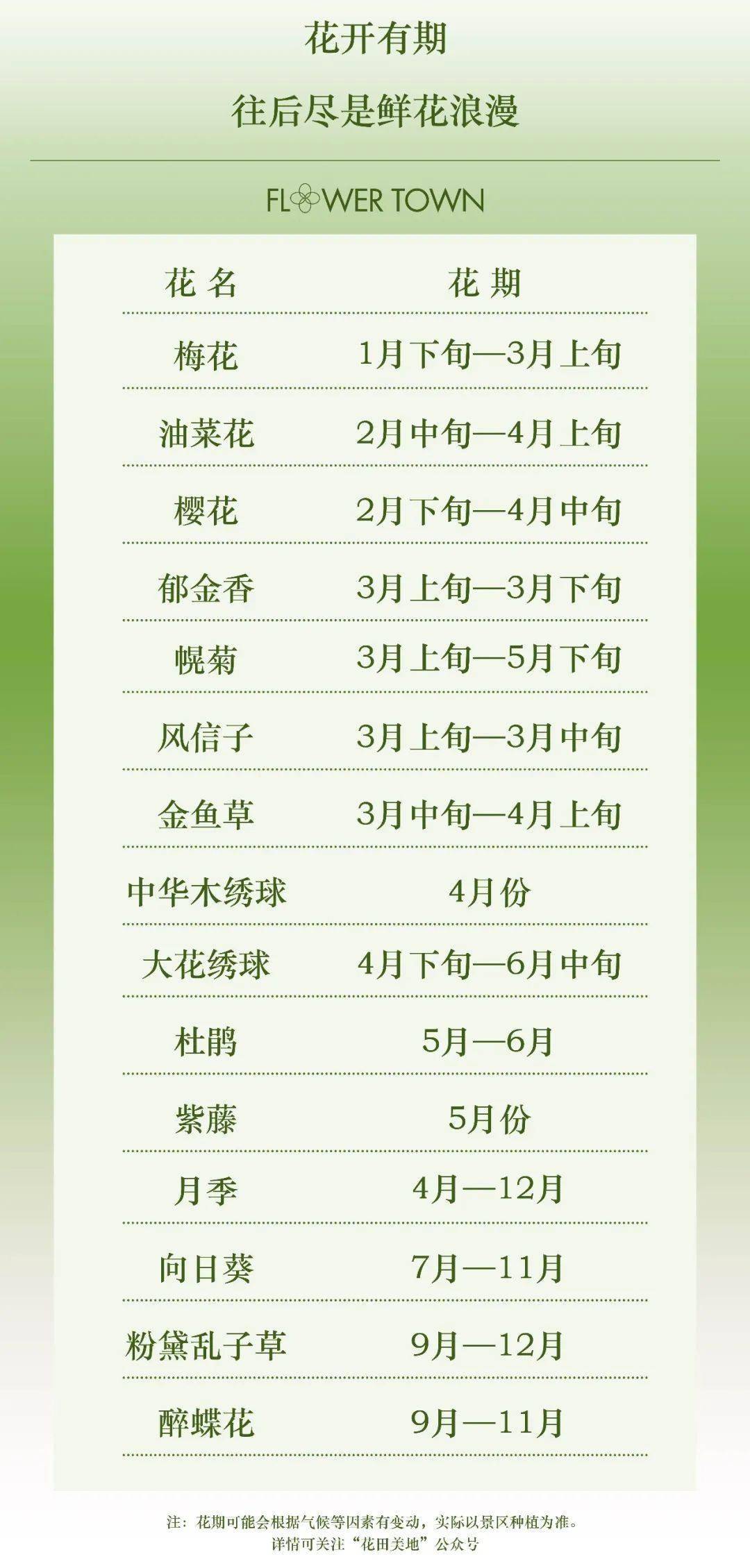 30万株郁金香盛开,绝美整个春天!(文末福利)_花田美_花朵_樱花树