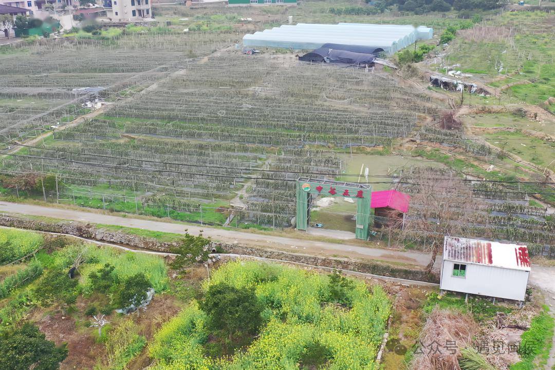 半岭村_张翔_陈枫