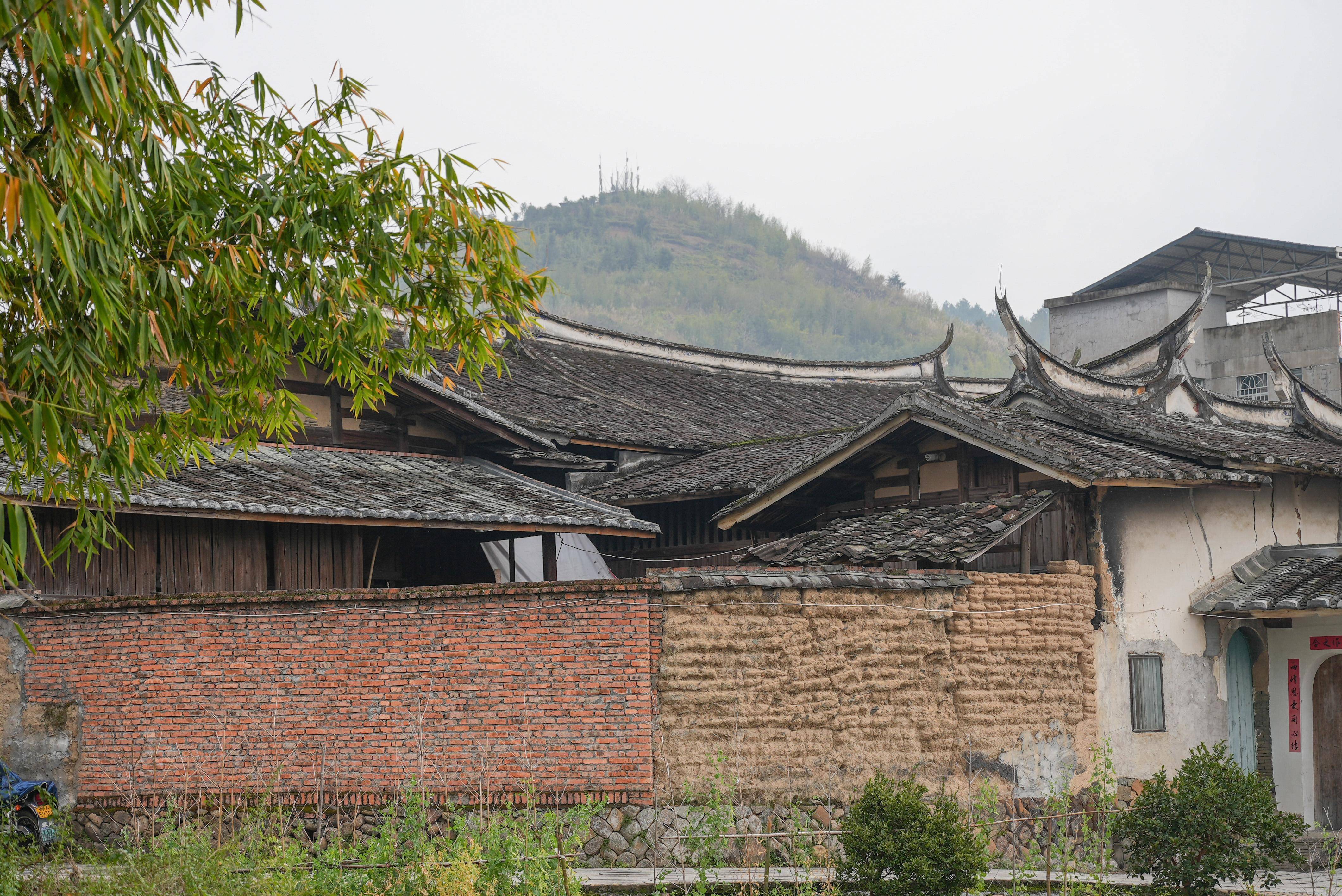 回到现代的嵩口古镇,张婉心带着丰富的经历和收获