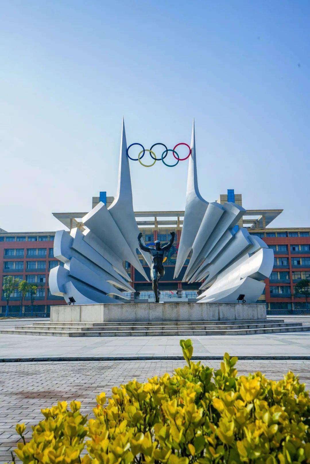 安徽体育运动职业技术学院2024年分类考试招生章程_测试_专业_考生