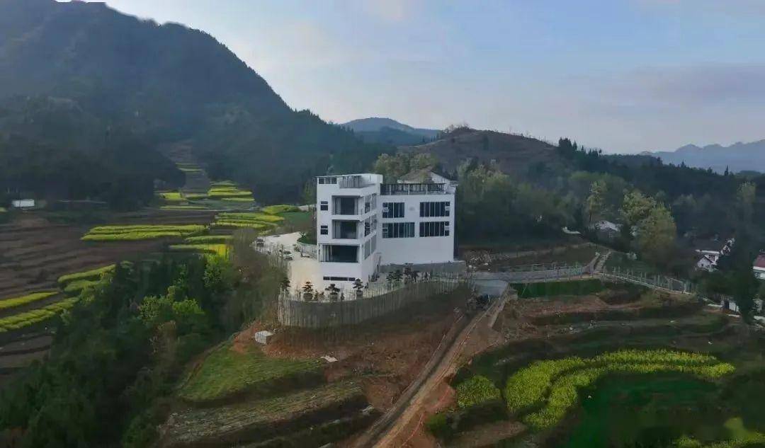 汉中将迎降水降温油菜花期预报