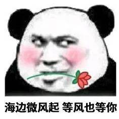 还有吗表情图图片