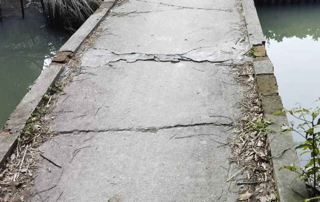 醉美枫泾周周帮桥体老旧存隐患来看看这里的村民反映了啥