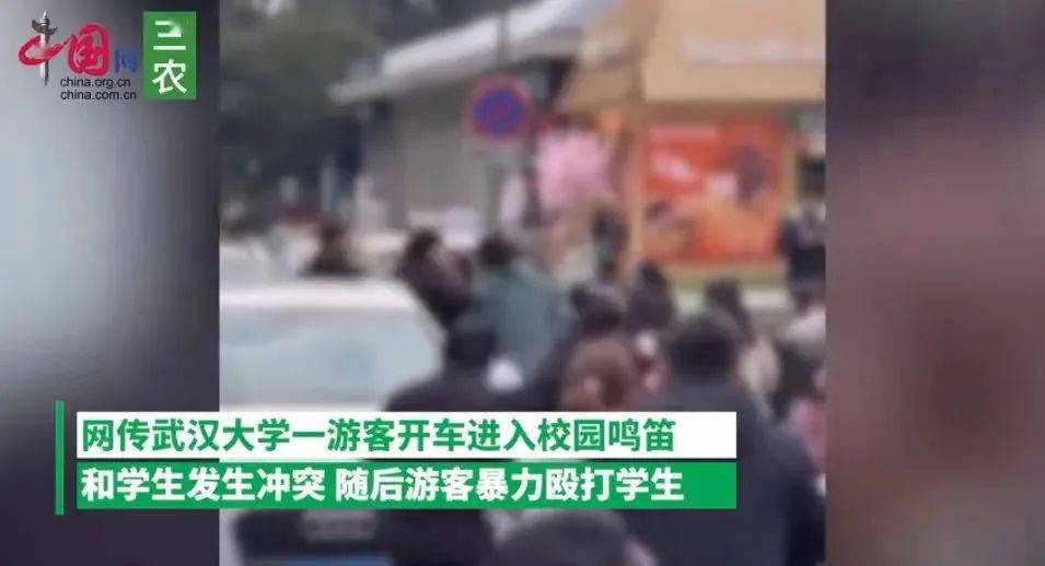 官方通报详情_调查_进行_中国