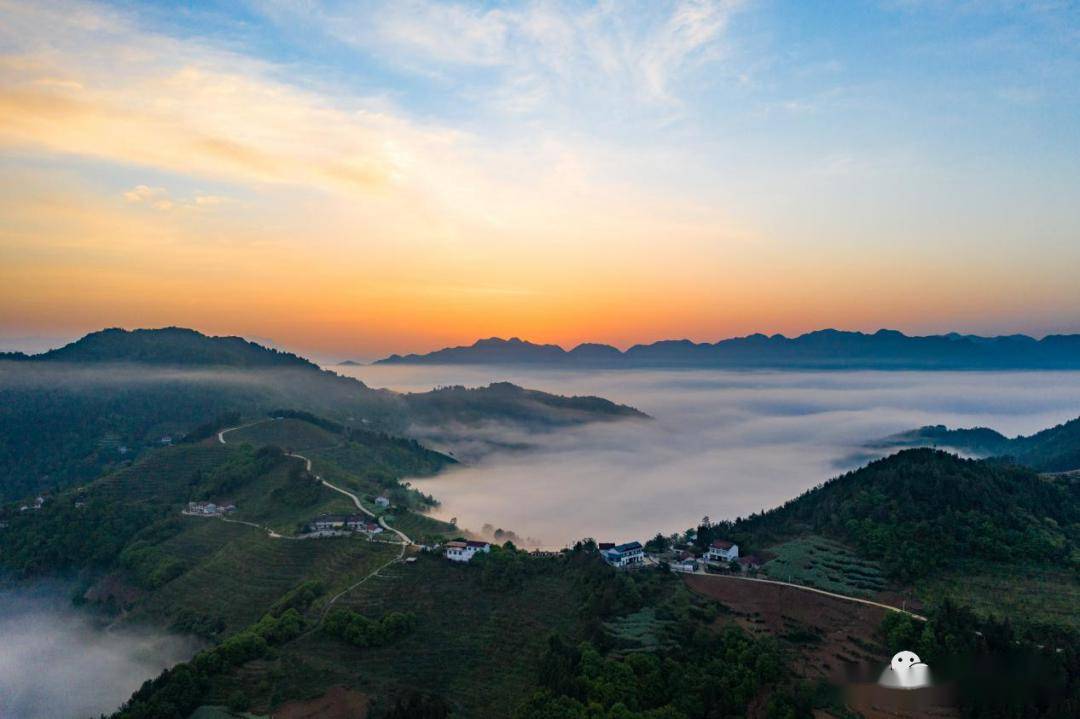 汉中将迎降水降温,油菜花期预报→_洋县_景区_梯田