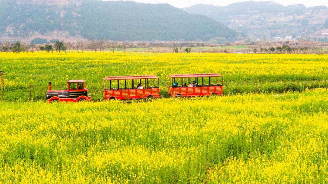 天乐谷风景区 门票图片