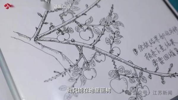 晚上8点20万人在他直播间里种苹果