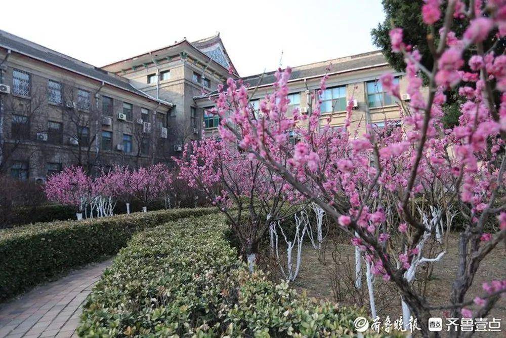 山东师范大学开放校园!进入方式→