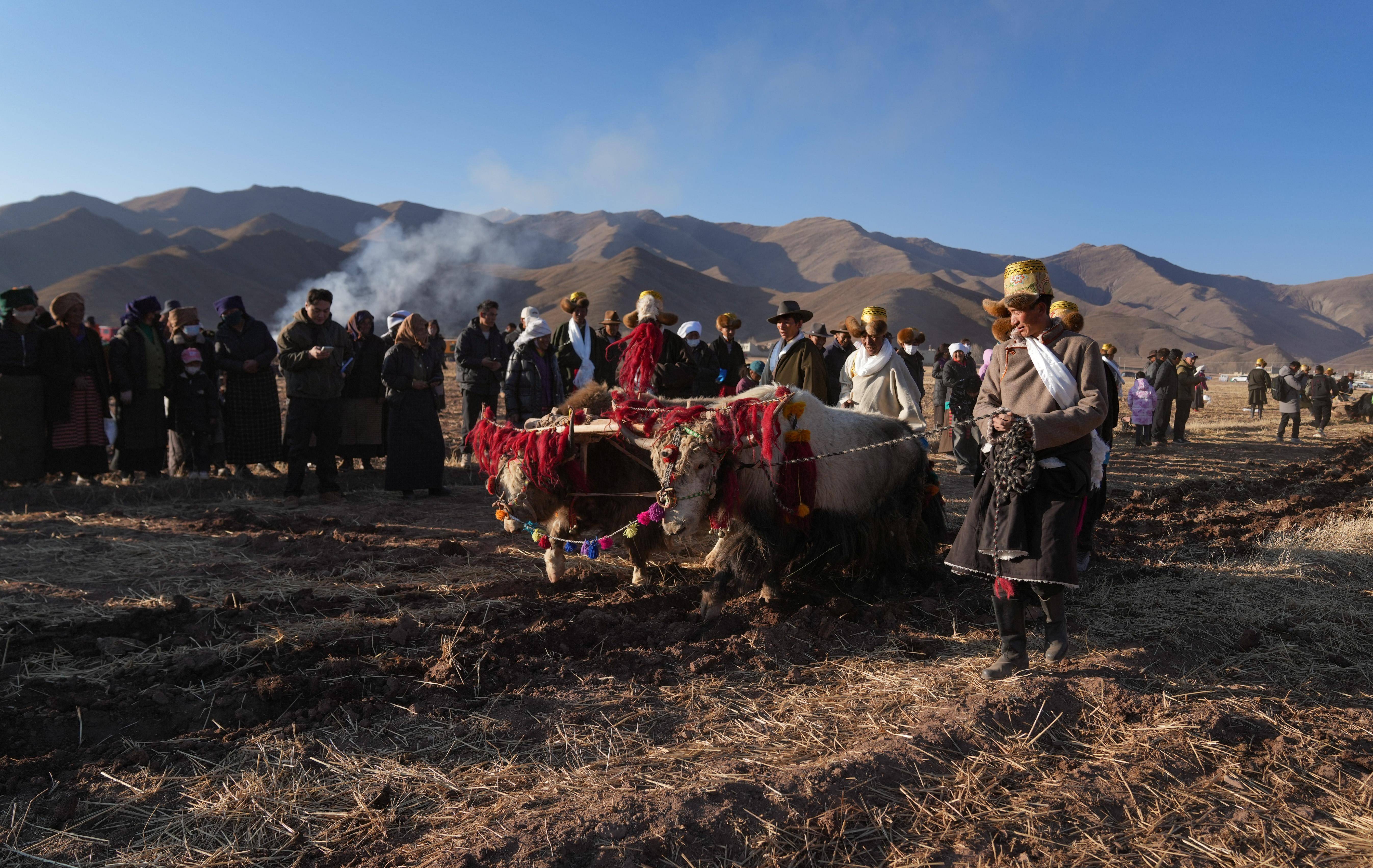 新华全媒 |春的约定——西藏农区迎来年度春耕大典_仪式_拉萨_林周县